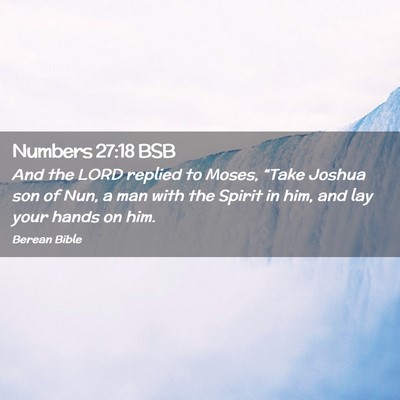 Picture 02 - Numbers 27:18 BSB - And the LORD replied to Moses, “Take Joshua son - Bible Verse Picture