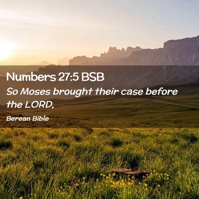 Picture 02 - Numbers 27:5 BSB - So Moses brought their case before the - Bible Verse Picture
