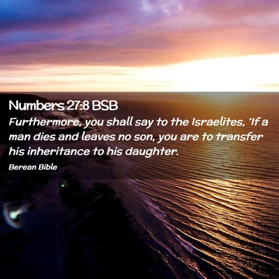 Picture 02 - Numbers 27:8 BSB - Furthermore, you shall say to the Israelites, - Bible Verse Picture