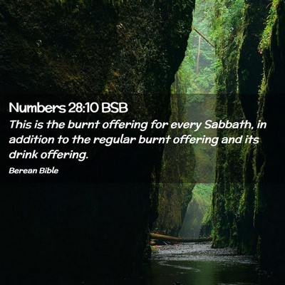 Picture 02 - Numbers 28:10 BSB - This is the burnt offering for every Sabbath, in - Bible Verse Picture