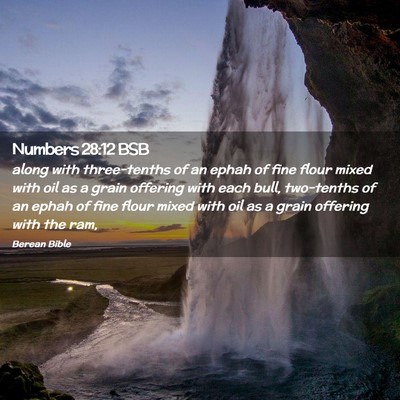 Picture 02 - Numbers 28:12 BSB - along with three-tenths of an ephah of fine flour - Bible Verse Picture