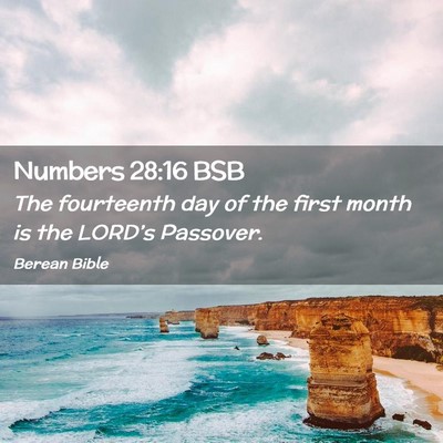 Picture 02 - Numbers 28:16 BSB - The fourteenth day of the first month is the - Bible Verse Picture