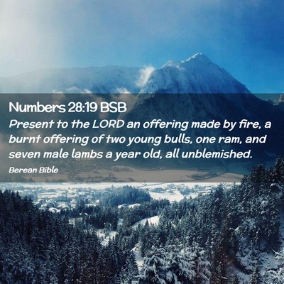 Picture 02 - Numbers 28:19 BSB - Present to the LORD an offering made by fire, a - Bible Verse Picture