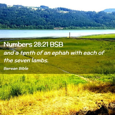 Picture 02 - Numbers 28:21 BSB - and a tenth of an ephah with each of the seven - Bible Verse Picture