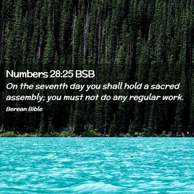 Picture 02 - Numbers 28:25 BSB - On the seventh day you shall hold a sacred - Bible Verse Picture