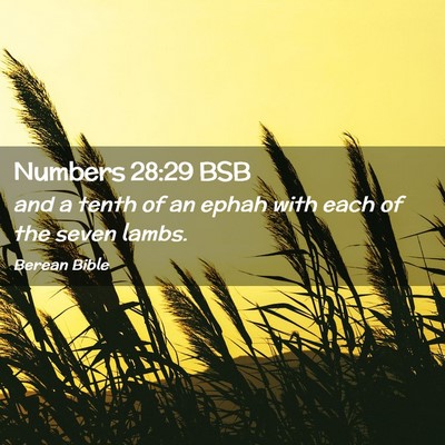 Picture 02 - Numbers 28:29 BSB - and a tenth of an ephah with each of the seven - Bible Verse Picture