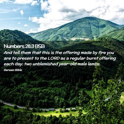 Picture 02 - Numbers 28:3 BSB - And tell them that this is the offering made by - Bible Verse Picture