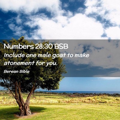 Picture 02 - Numbers 28:30 BSB - Include one male goat to make atonement for - Bible Verse Picture