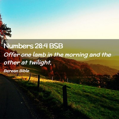 Picture 02 - Numbers 28:4 BSB - Offer one lamb in the morning and the other at - Bible Verse Picture