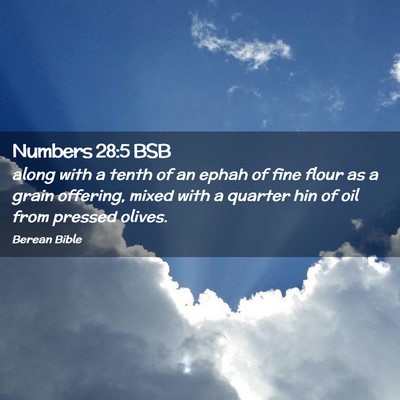 Picture 02 - Numbers 28:5 BSB - along with a tenth of an ephah of fine flour as a - Bible Verse Picture