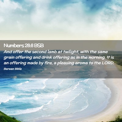 Picture 02 - Numbers 28:8 BSB - And offer the second lamb at twilight, with the - Bible Verse Picture