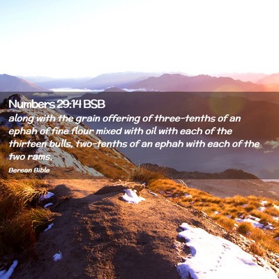 Picture 02 - Numbers 29:14 BSB - along with the grain offering of three-tenths of - Bible Verse Picture
