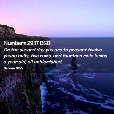 Picture 02 - Numbers 29:17 BSB - On the second day you are to present twelve young - Bible Verse Picture