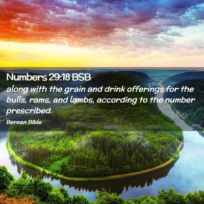 Picture 02 - Numbers 29:18 BSB - along with the grain and drink offerings for the - Bible Verse Picture