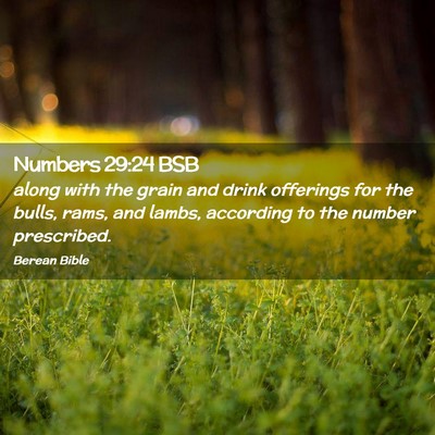 Picture 02 - Numbers 29:24 BSB - along with the grain and drink offerings for the - Bible Verse Picture