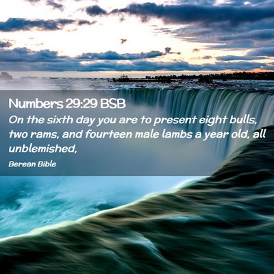 Picture 02 - Numbers 29:29 BSB - On the sixth day you are to present eight bulls, - Bible Verse Picture