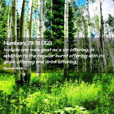 Picture 02 - Numbers 29:38 BSB - Include one male goat as a sin offering, in - Bible Verse Picture