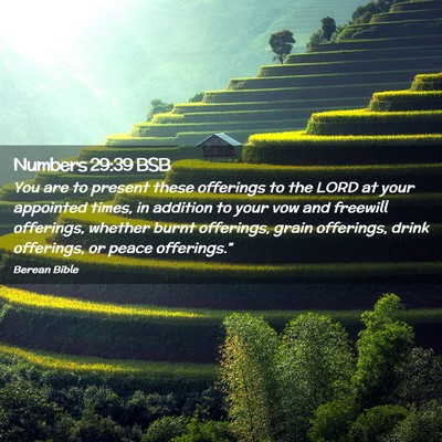 Picture 02 - Numbers 29:39 BSB - You are to present these offerings to the LORD at - Bible Verse Picture