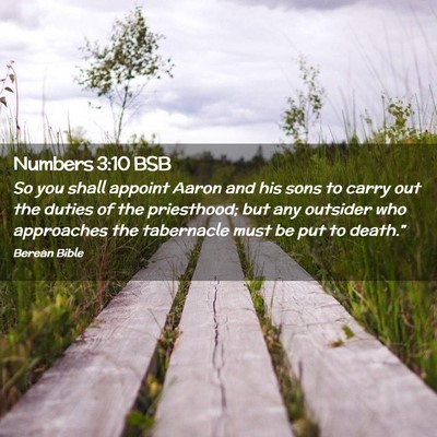 Picture 02 - Numbers 3:10 BSB - So you shall appoint Aaron and his sons to carry - Bible Verse Picture