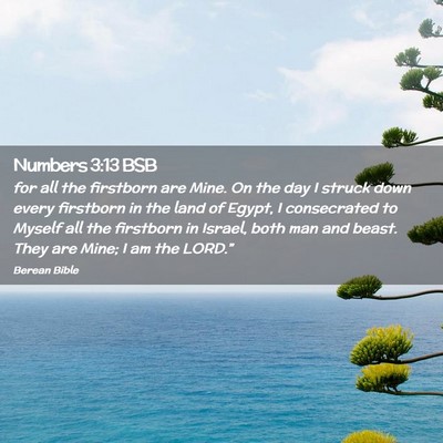 Picture 02 - Numbers 3:13 BSB - for all the firstborn are Mine. On the day I - Bible Verse Picture