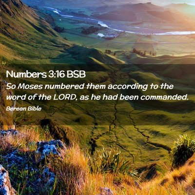 Picture 02 - Numbers 3:16 BSB - So Moses numbered them according to the word of - Bible Verse Picture