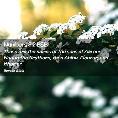 Picture 02 - Numbers 3:2 BSB - These are the names of the sons of Aaron: Nadab - Bible Verse Picture