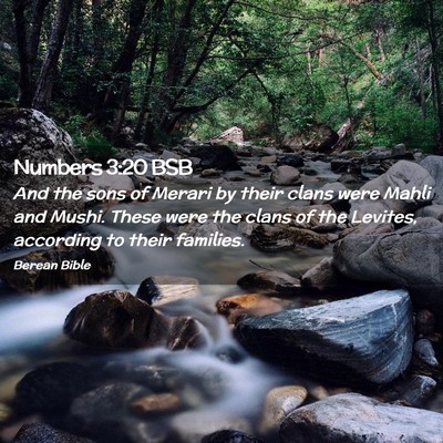 Picture 02 - Numbers 3:20 BSB - And the sons of Merari by their clans were Mahli - Bible Verse Picture
