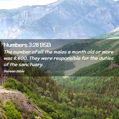 Picture 02 - Numbers 3:28 BSB - The number of all the males a month old or more - Bible Verse Picture