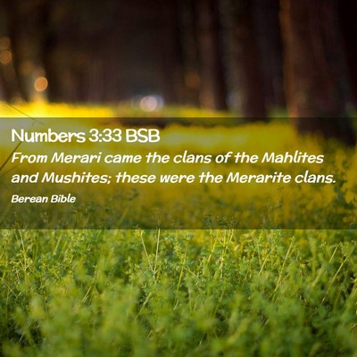 Picture 02 - Numbers 3:33 BSB - From Merari came the clans of the Mahlites and - Bible Verse Picture