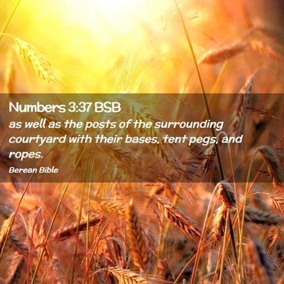 Picture 02 - Numbers 3:37 BSB - as well as the posts of the surrounding courtyard - Bible Verse Picture