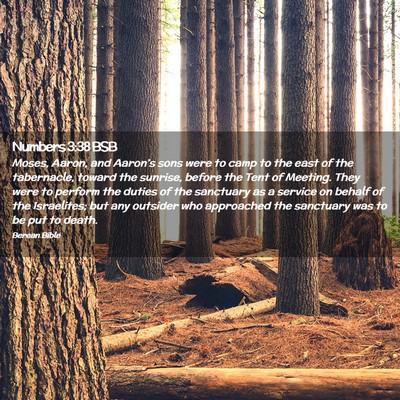 Picture 02 - Numbers 3:38 BSB - Moses, Aaron, and Aaron’s sons were to camp to - Bible Verse Picture