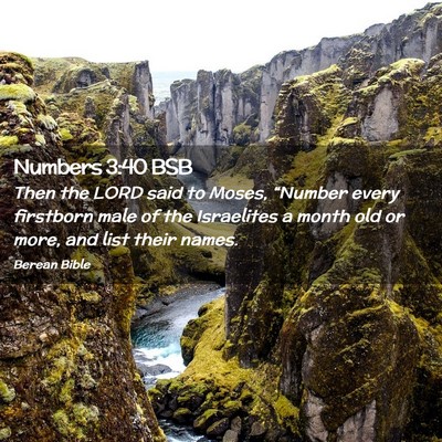 Picture 02 - Numbers 3:40 BSB - Then the LORD said to Moses, “Number every - Bible Verse Picture