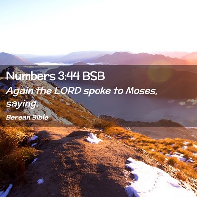 Picture 02 - Numbers 3:44 BSB - Again the LORD spoke to Moses, - Bible Verse Picture