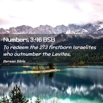 Picture 02 - Numbers 3:46 BSB - To redeem the 273 firstborn Israelites who - Bible Verse Picture