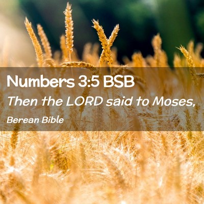 Picture 02 - Numbers 3:5 BSB - Then the LORD said to - Bible Verse Picture