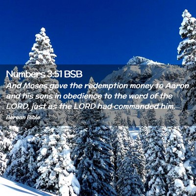 Picture 02 - Numbers 3:51 BSB - And Moses gave the redemption money to Aaron and - Bible Verse Picture