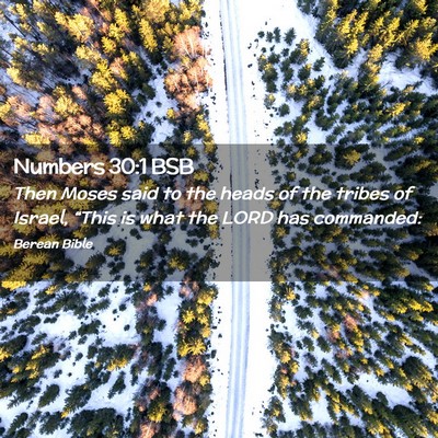 Picture 02 - Numbers 30:1 BSB - Then Moses said to the heads of the tribes of - Bible Verse Picture