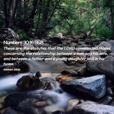 Picture 02 - Numbers 30:16 BSB - These are the statutes that the LORD commanded - Bible Verse Picture