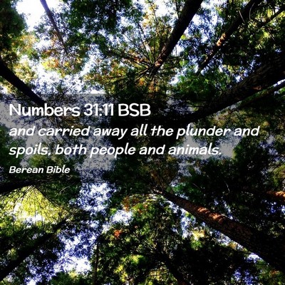 Picture 02 - Numbers 31:11 BSB - and carried away all the plunder and spoils, both - Bible Verse Picture