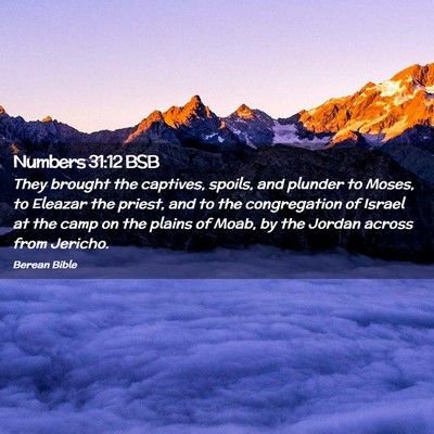 Picture 02 - Numbers 31:12 BSB - They brought the captives, spoils, and plunder to - Bible Verse Picture