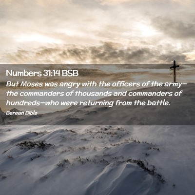 Picture 02 - Numbers 31:14 BSB - But Moses was angry with the officers of the - Bible Verse Picture