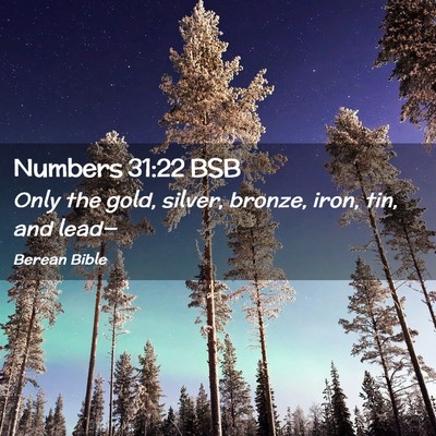 Picture 02 - Numbers 31:22 BSB - Only the gold, silver, bronze, iron, tin, and - Bible Verse Picture