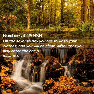 Picture 02 - Numbers 31:24 BSB - On the seventh day you are to wash your clothes, - Bible Verse Picture