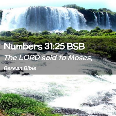 Picture 02 - Numbers 31:25 BSB - The LORD said to - Bible Verse Picture