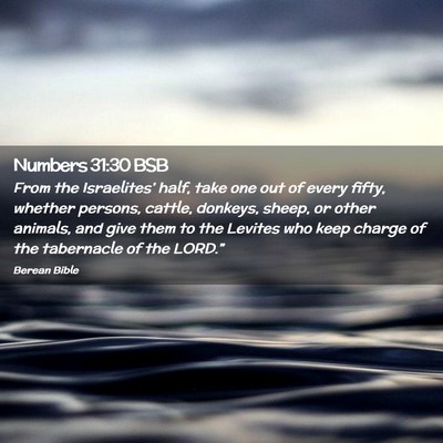 Picture 02 - Numbers 31:30 BSB - From the Israelites’ half, take one out of - Bible Verse Picture