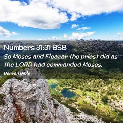 Picture 02 - Numbers 31:31 BSB - So Moses and Eleazar the priest did as the LORD - Bible Verse Picture