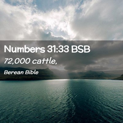 Picture 02 - Numbers 31:33 BSB - 72,000 - Bible Verse Picture