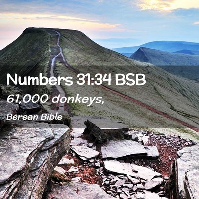 Picture 02 - Numbers 31:34 BSB - 61,000 - Bible Verse Picture