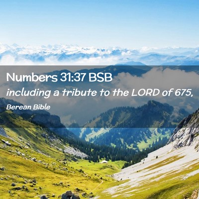 Picture 02 - Numbers 31:37 BSB - including a tribute to the LORD of - Bible Verse Picture