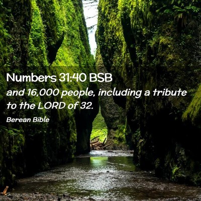 Picture 02 - Numbers 31:40 BSB - and 16,000 people, including a tribute to the - Bible Verse Picture